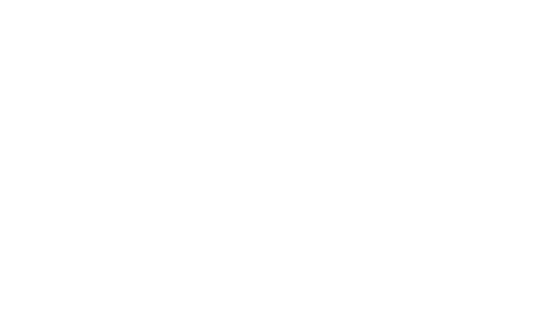 Warner Bros. Entertainment Inc.