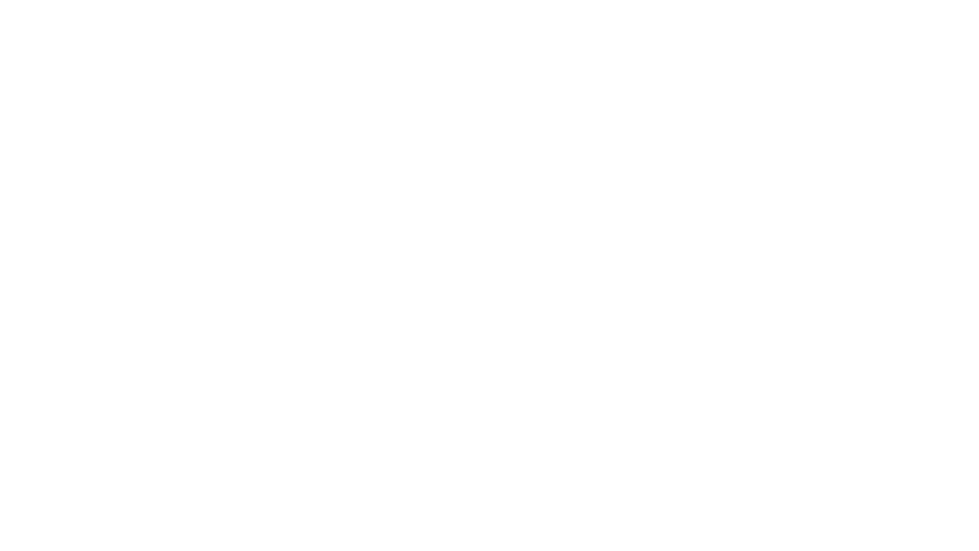 The Walt Disney Company